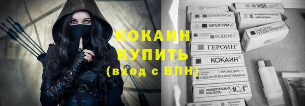 PSILOCYBIN Гусиноозёрск
