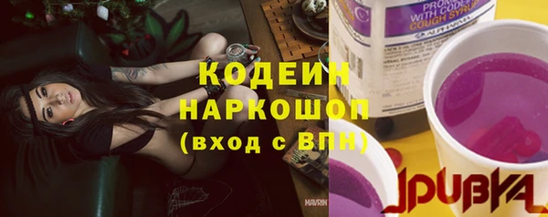 сатива Гусь-Хрустальный