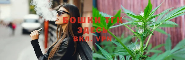 сатива Гусь-Хрустальный