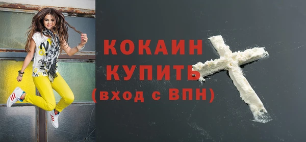 сатива Гусь-Хрустальный