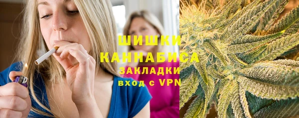 сатива Гусь-Хрустальный