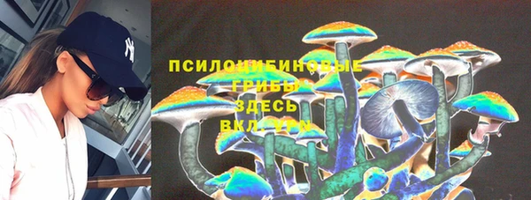 PSILOCYBIN Гусиноозёрск