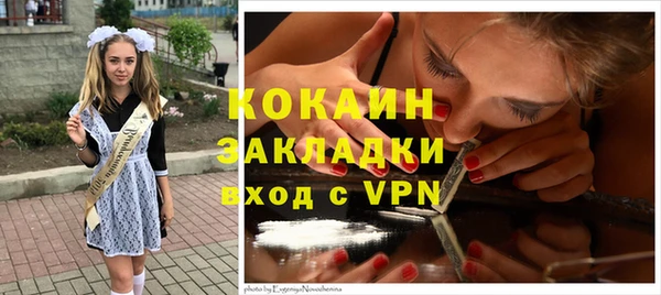 сатива Гусь-Хрустальный
