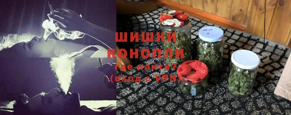 PSILOCYBIN Гусиноозёрск