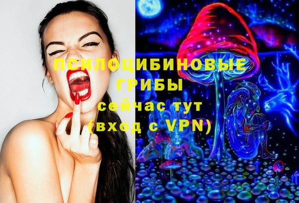 PSILOCYBIN Гусиноозёрск