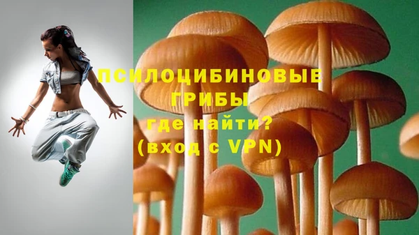 МДМА Гусев